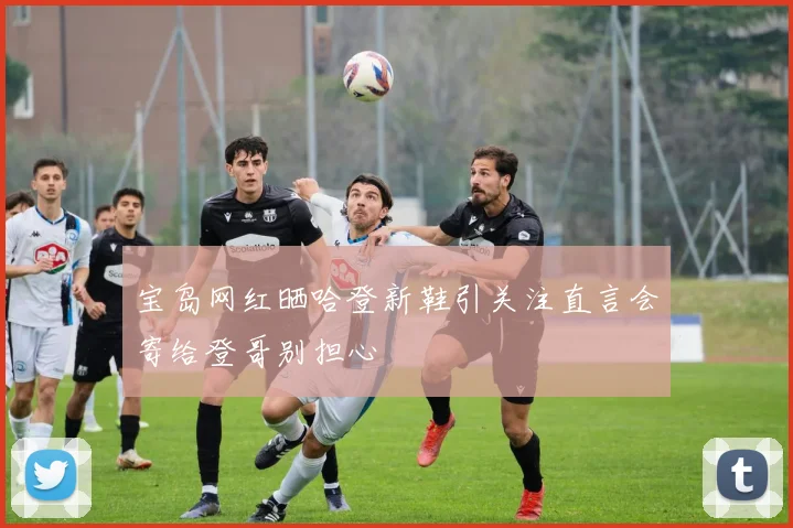 宝岛网红晒哈登新鞋引关注直言会寄给登哥别担心